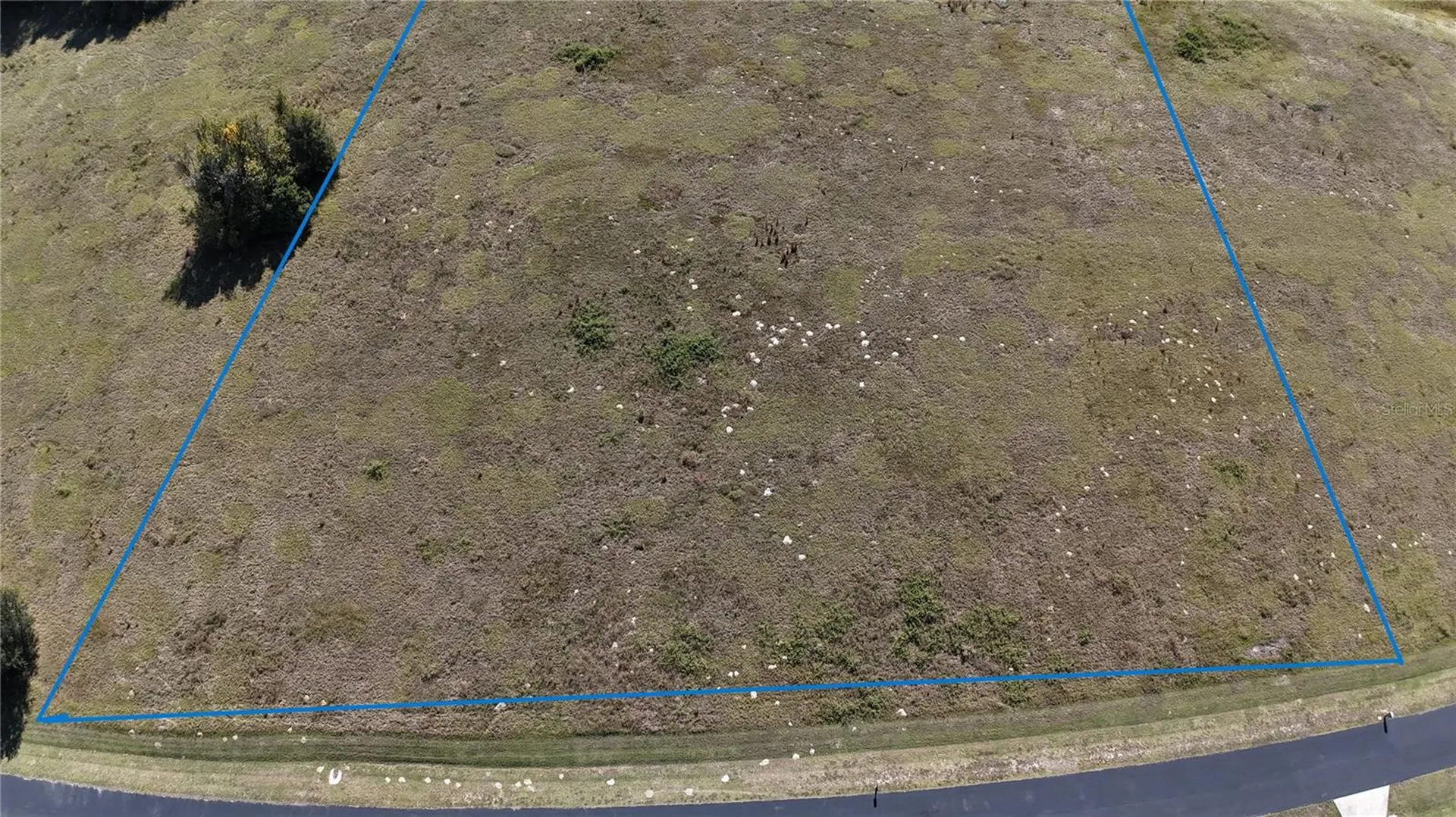 NW 54th Loop Ocala FL 34482