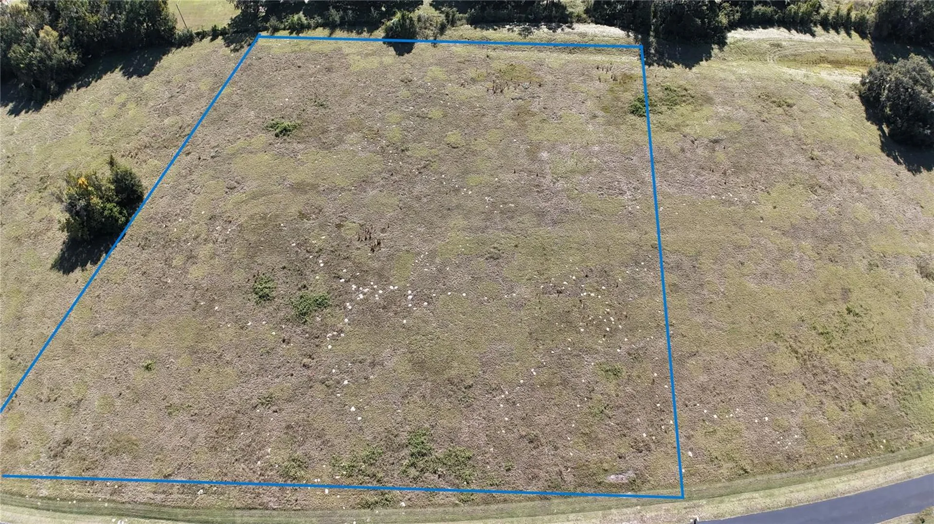 NW 54th Loop Ocala FL 34482