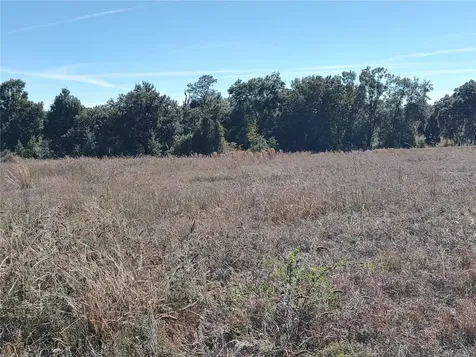NW 54th Loop Ocala FL 34482