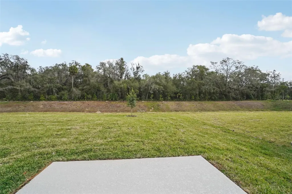 7166 Ray Creek Drive Brooksville FL 34601