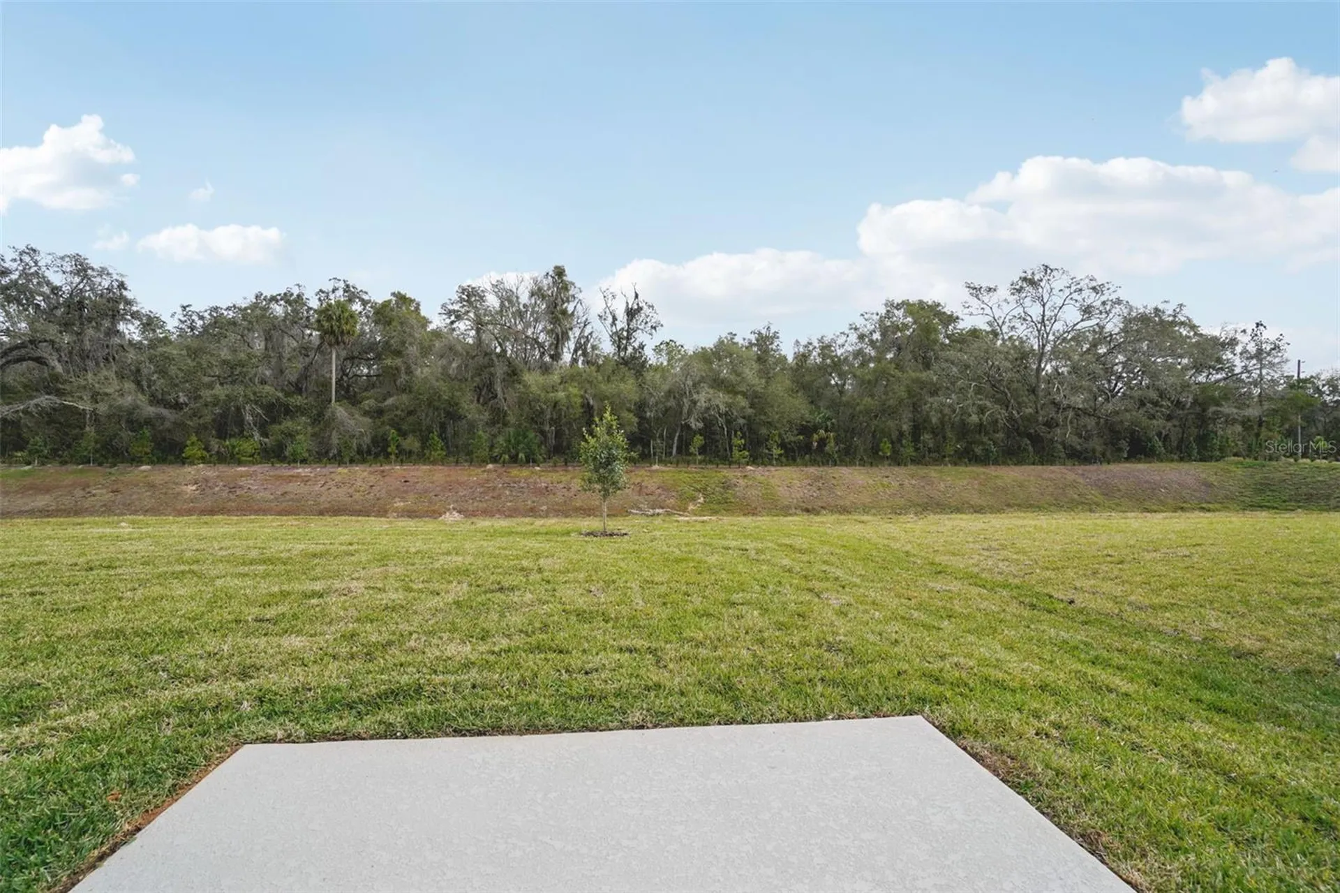 7166 Ray Creek Drive Brooksville FL 34601