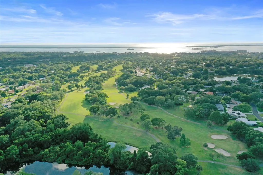 2363 Hanover Drive Dunedin FL 34698