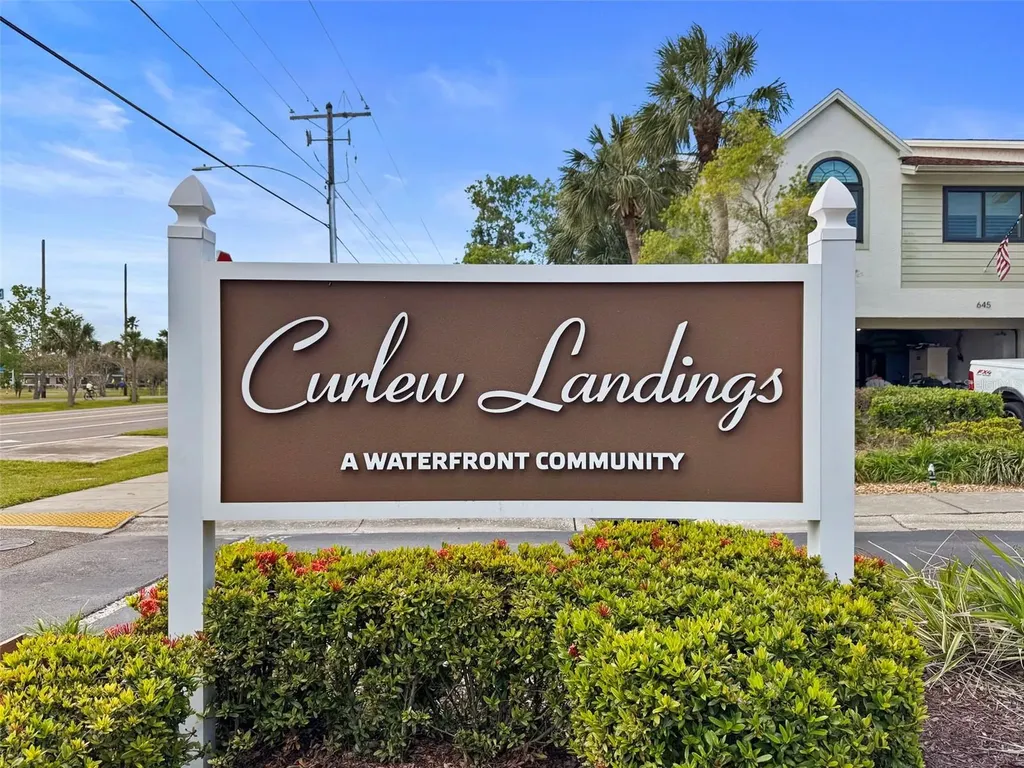 2363 Hanover Drive Dunedin FL 34698