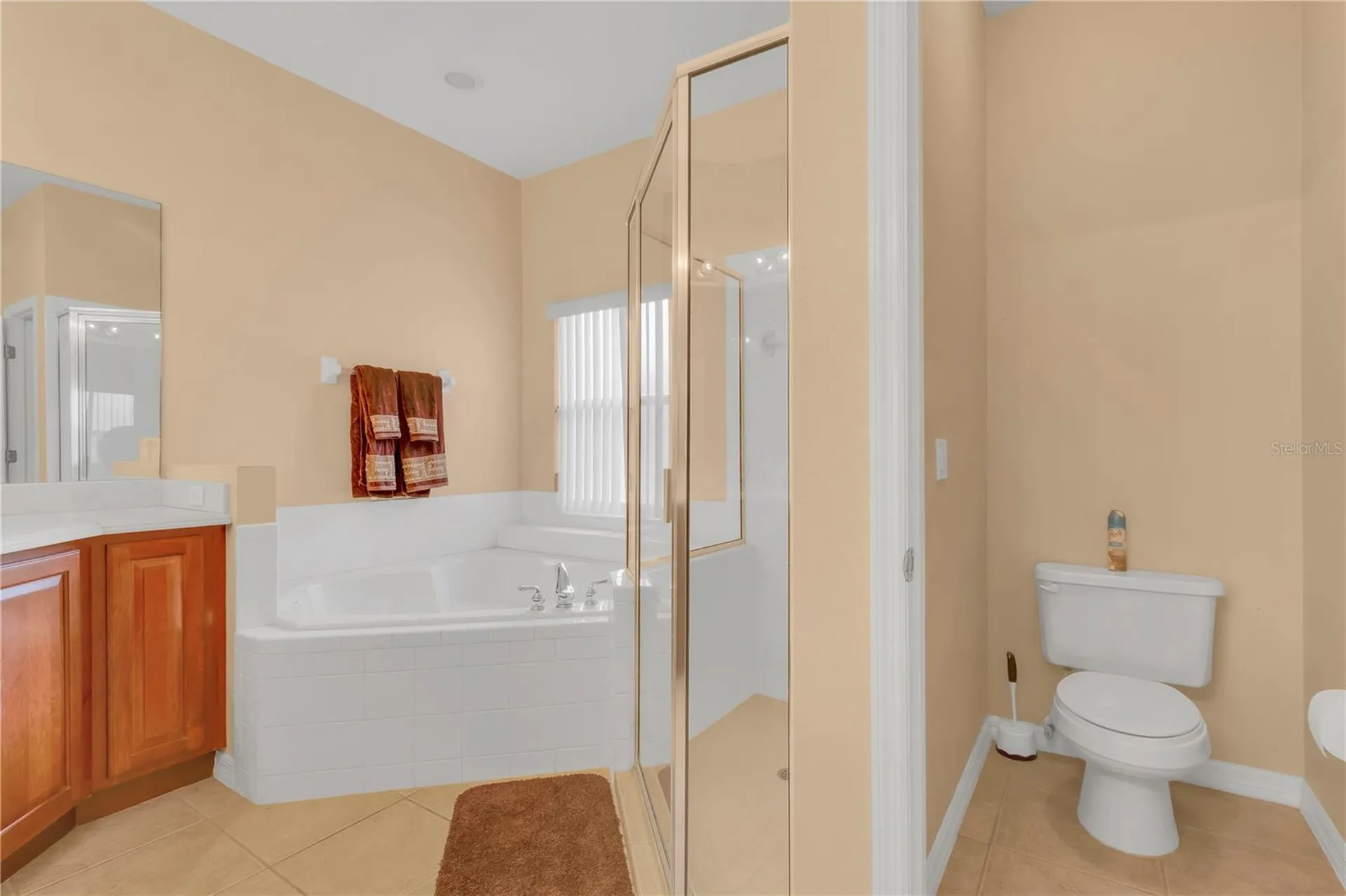 2620 Meadow View Court Kissimmee FL 34746
