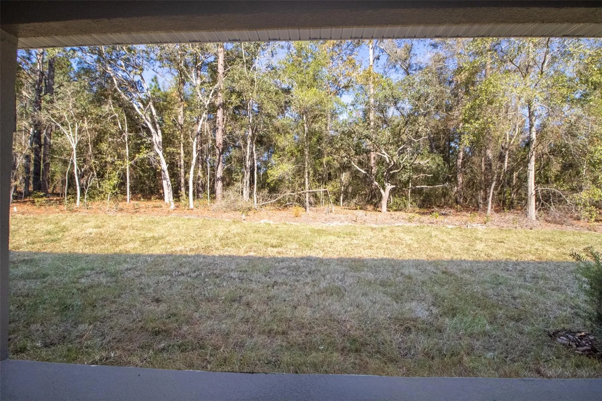 2915 W Goldenrod Drive Beverly Hills FL 34465