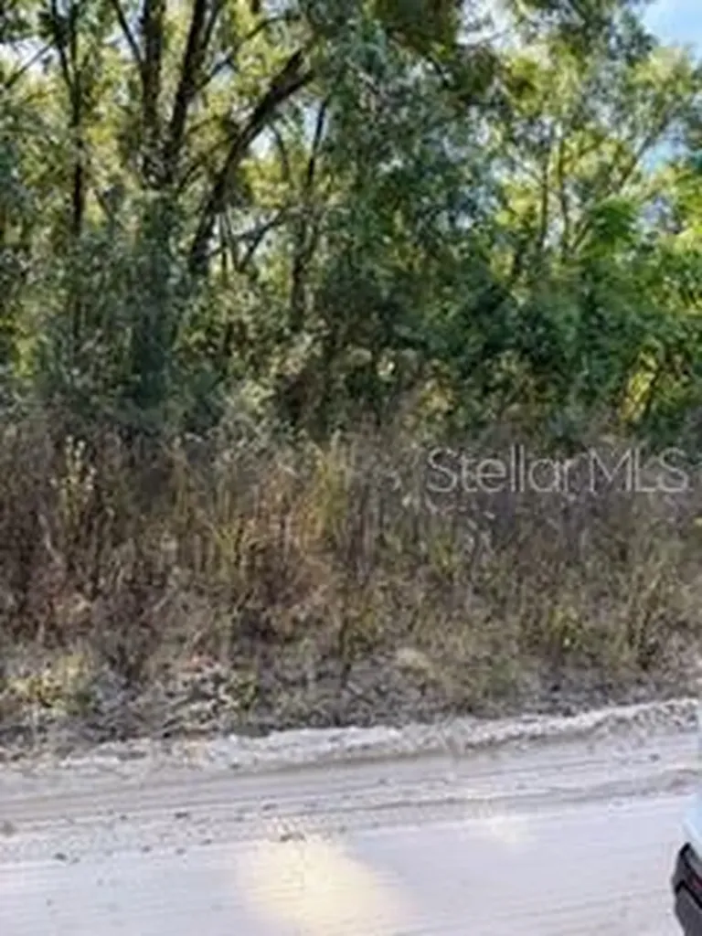 Lot 22 SE 130th Place Belleview FL 34420