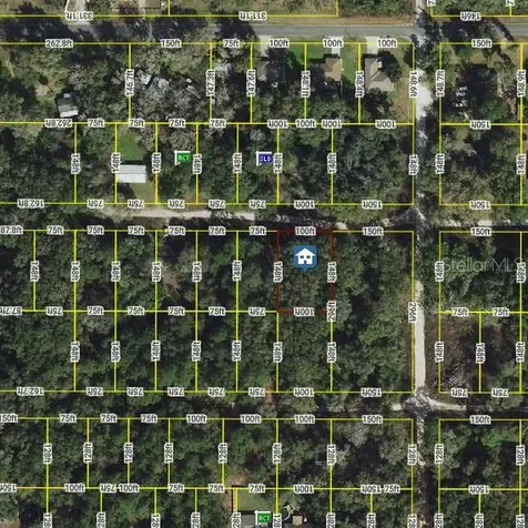 Lot 22 SE 130th Place Belleview FL 34420