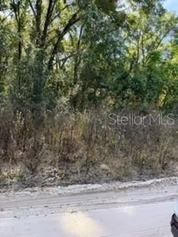 Lot 22 SE 130th Place Belleview FL 34420