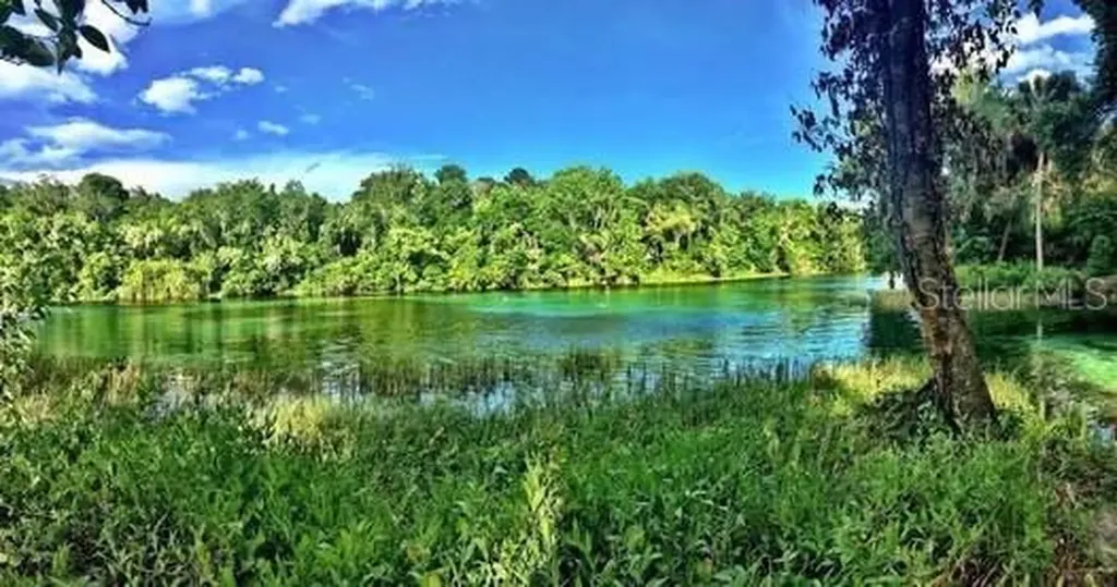 Lot 001 SW 207th Circle Dunnellon FL 34431