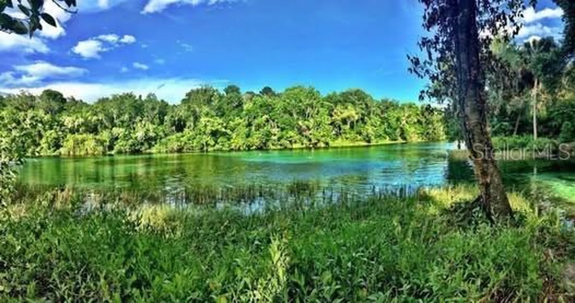 Lot 001 SW 207th Circle Dunnellon FL 34431