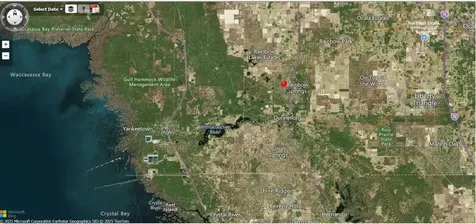 Lot 001 SW 207th Circle Dunnellon FL 34431