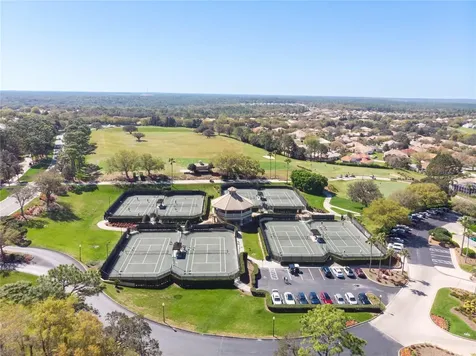 1203 W Diamond Shore Loop Hernando FL 34442