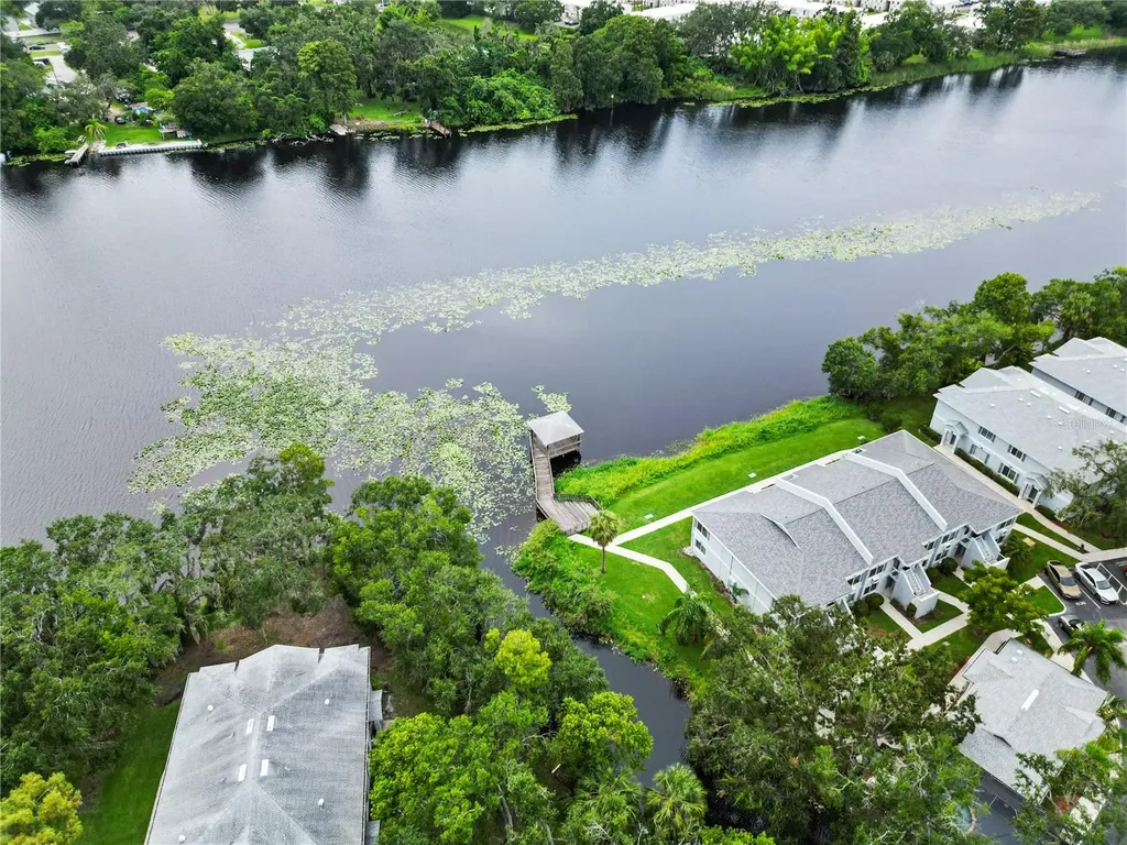 4120 Gradstone Place Tampa FL 33617