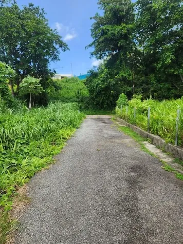 Sr 926 Collores Ward Humacao PR 00791