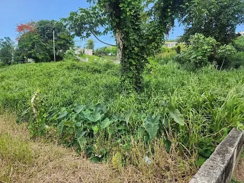 Sr 926 Collores Ward Humacao PR 00791