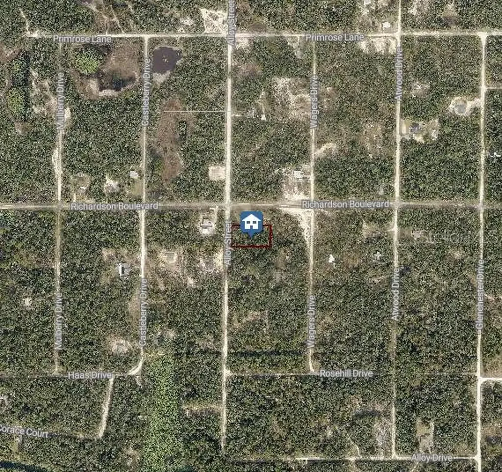 Lot 15 Alloy Street Webster FL 33597