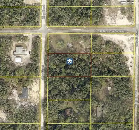 Lot 15 Alloy Street Webster FL 33597