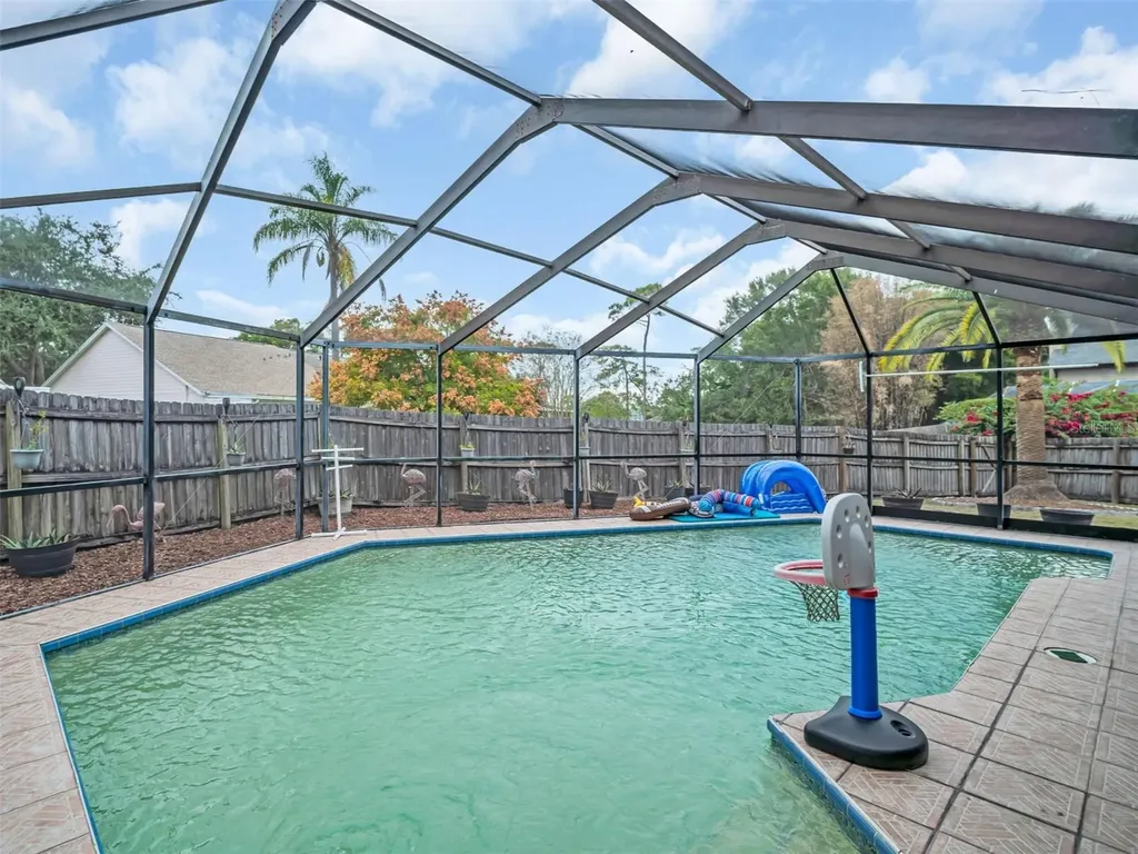 3177 Montrose Place Palm Harbor FL 34684