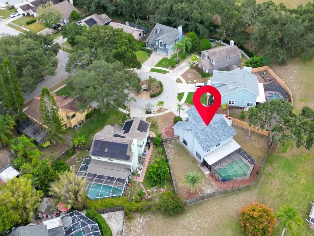 3177 Montrose Place Palm Harbor FL 34684