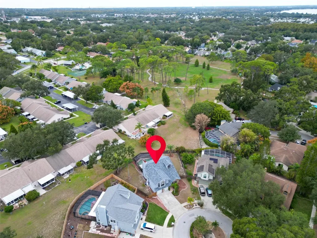 3177 Montrose Place Palm Harbor FL 34684