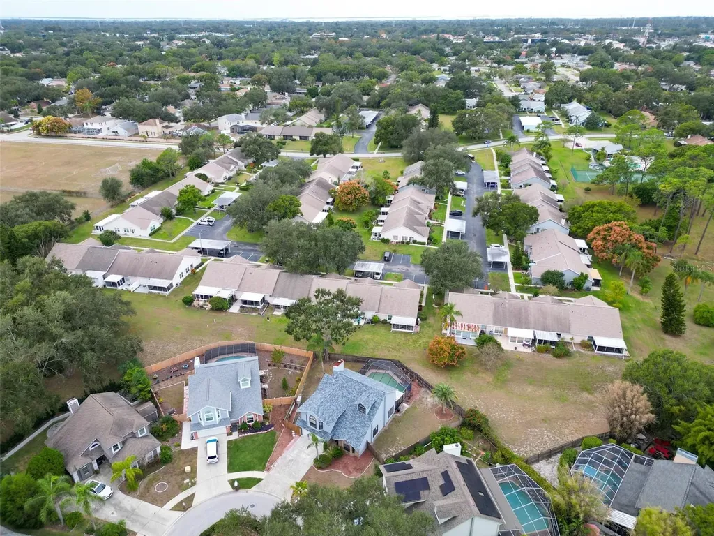 3177 Montrose Place Palm Harbor FL 34684
