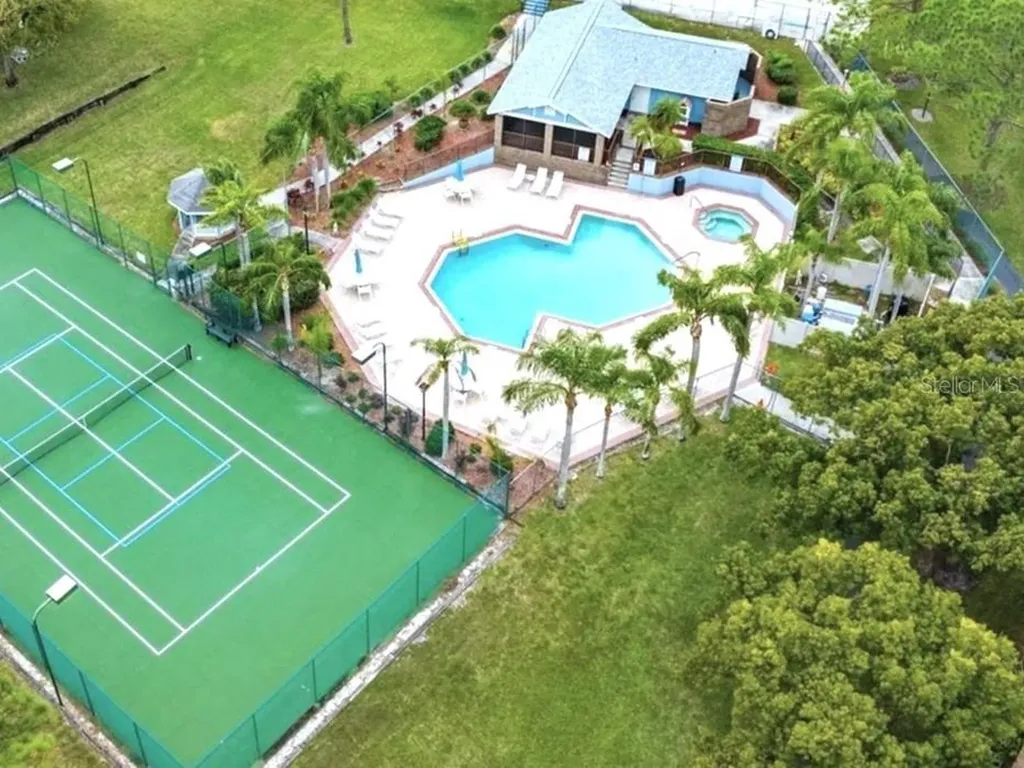 3177 Montrose Place Palm Harbor FL 34684