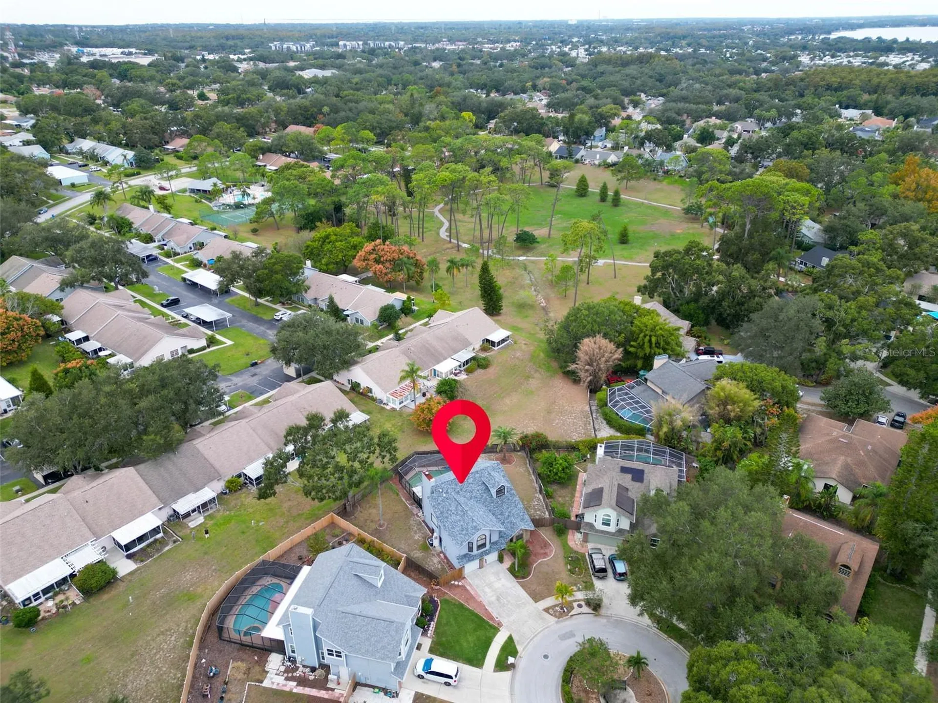 3177 Montrose Place Palm Harbor FL 34684