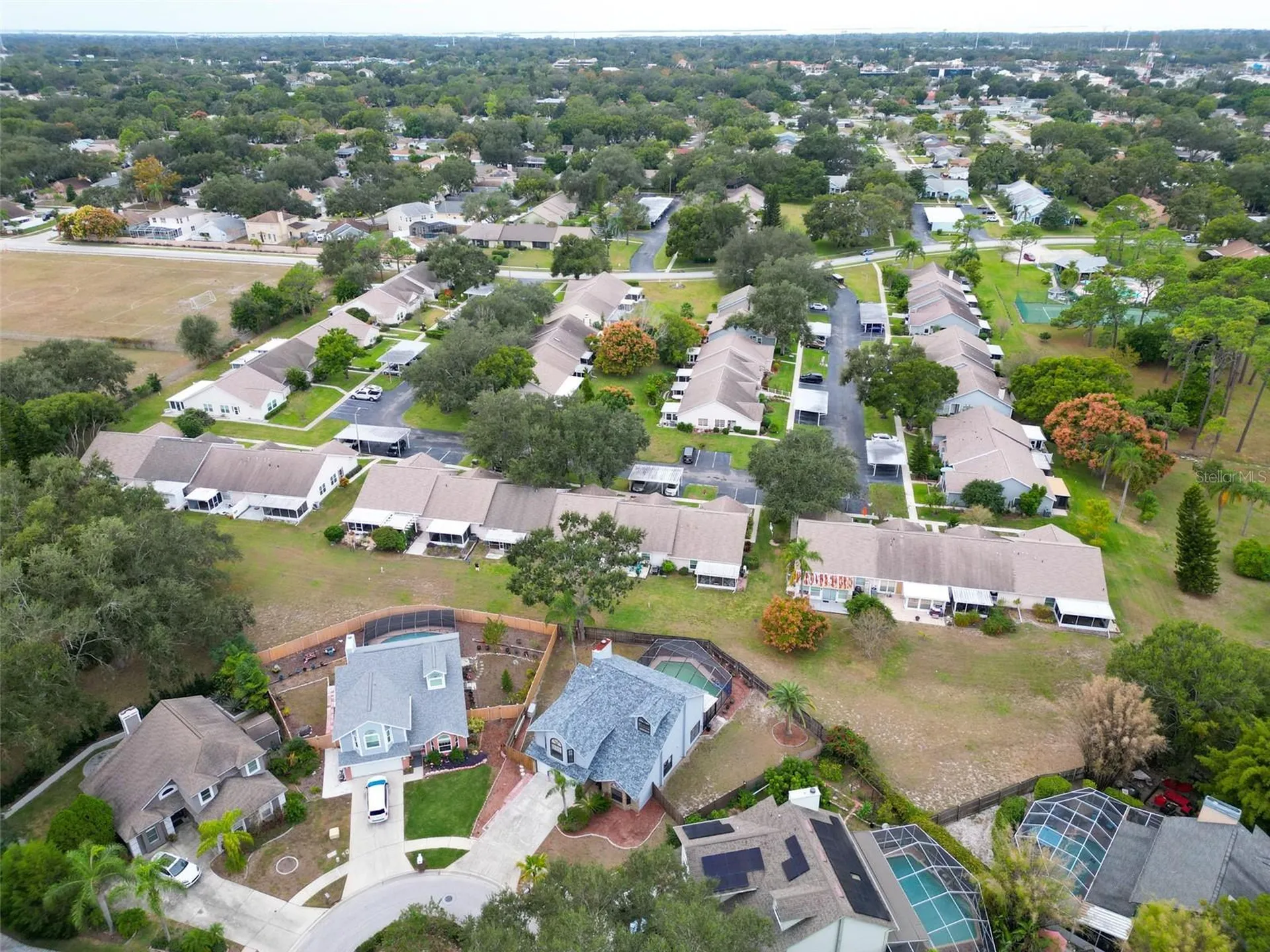 3177 Montrose Place Palm Harbor FL 34684