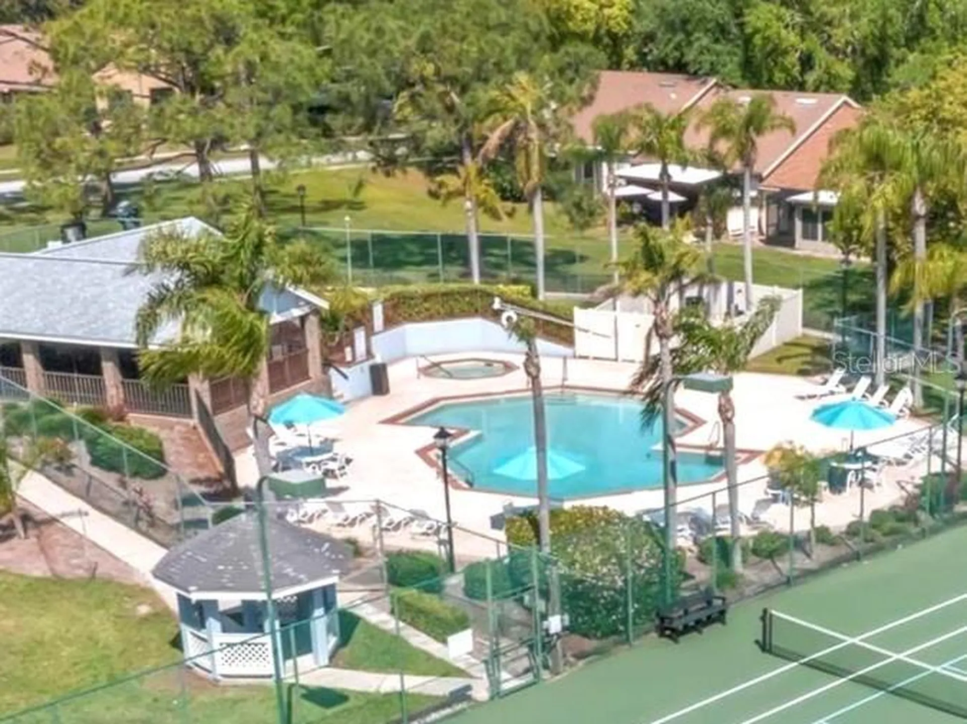 3177 Montrose Place Palm Harbor FL 34684