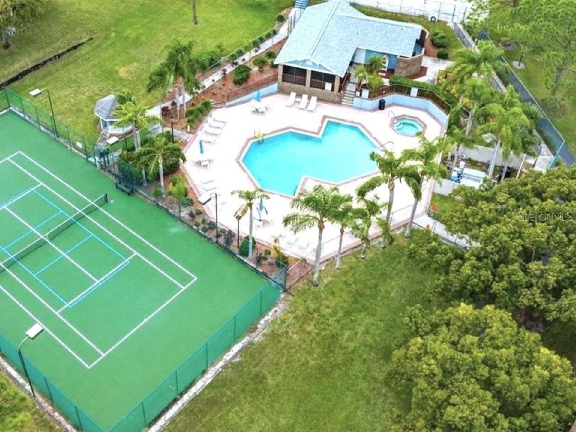 3177 Montrose Place Palm Harbor FL 34684