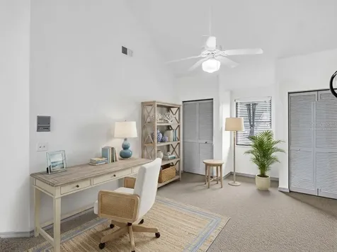 3177 Montrose Place Palm Harbor FL 34684