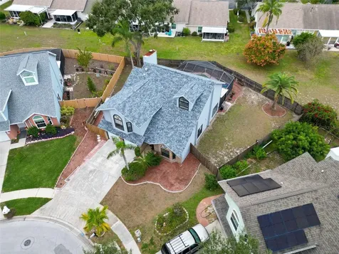 3177 Montrose Place Palm Harbor FL 34684