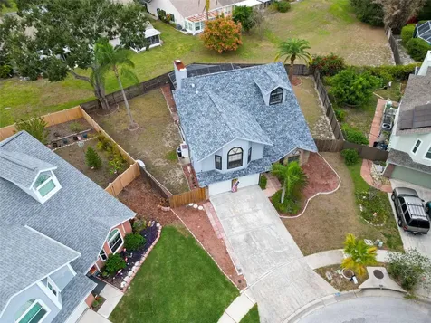 3177 Montrose Place Palm Harbor FL 34684