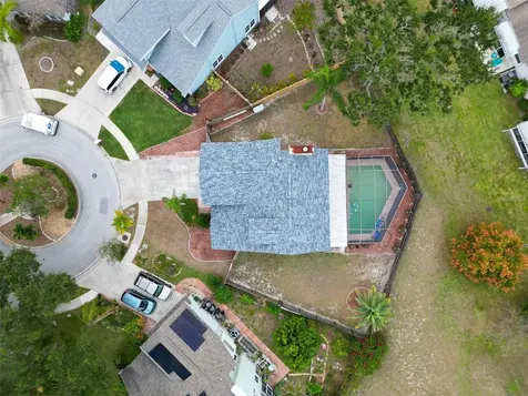 3177 Montrose Place Palm Harbor FL 34684