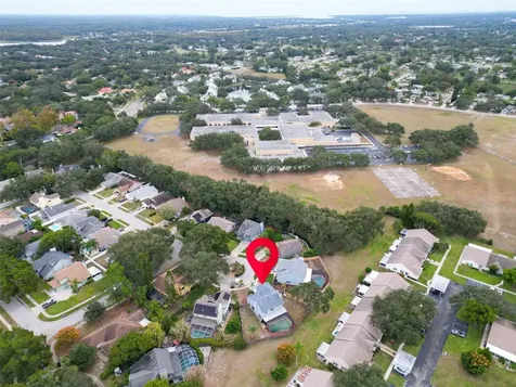 3177 Montrose Place Palm Harbor FL 34684