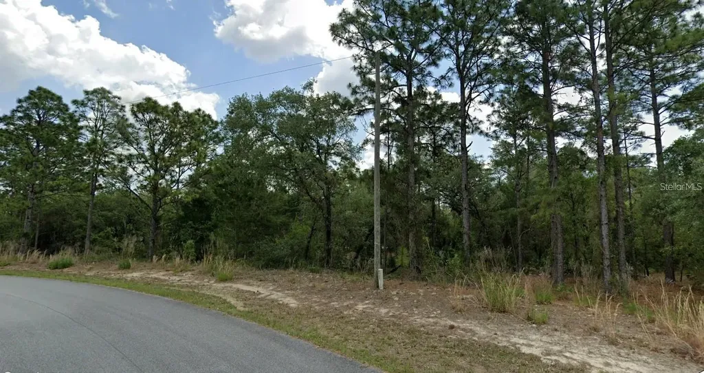 6681 N Waterman Drive Dunnellon FL 34433
