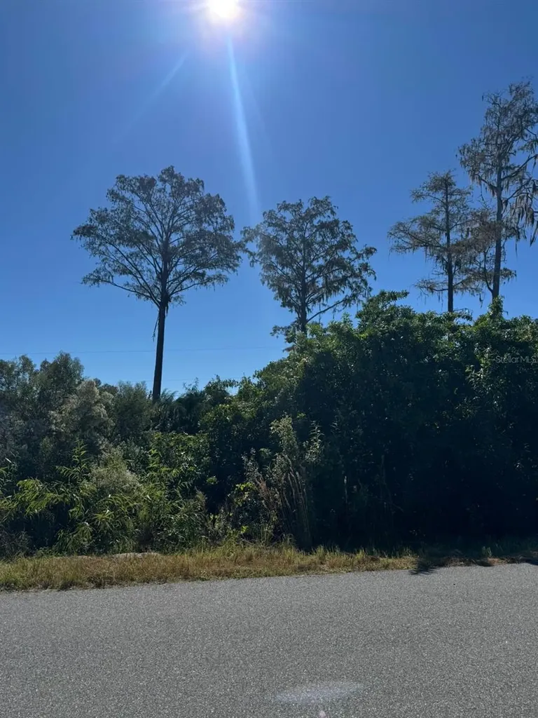 1450 Towton Street SE Palm Bay FL 32909