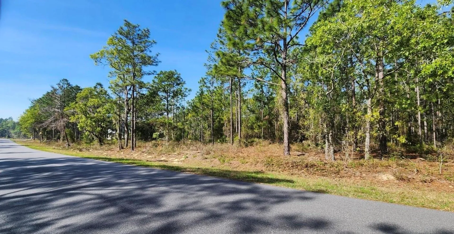 Tbd Cr 243b Wildwood FL 34785