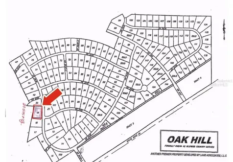 Tbd Cr 243b Wildwood FL 34785