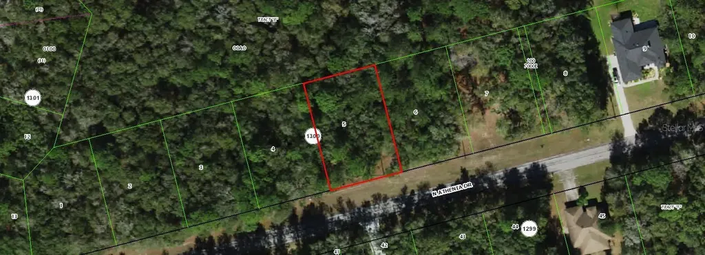 10205 N Athenia Drive Citrus Springs FL 34434
