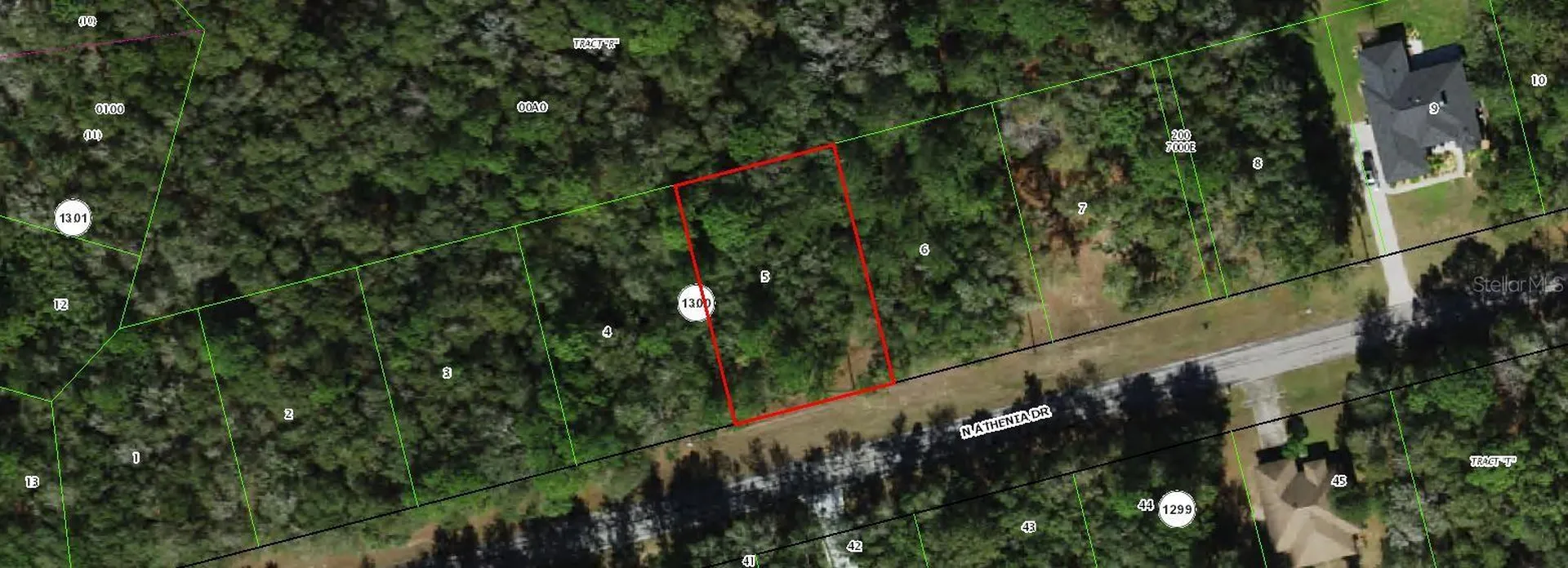 10205 N Athenia Drive Citrus Springs FL 34434