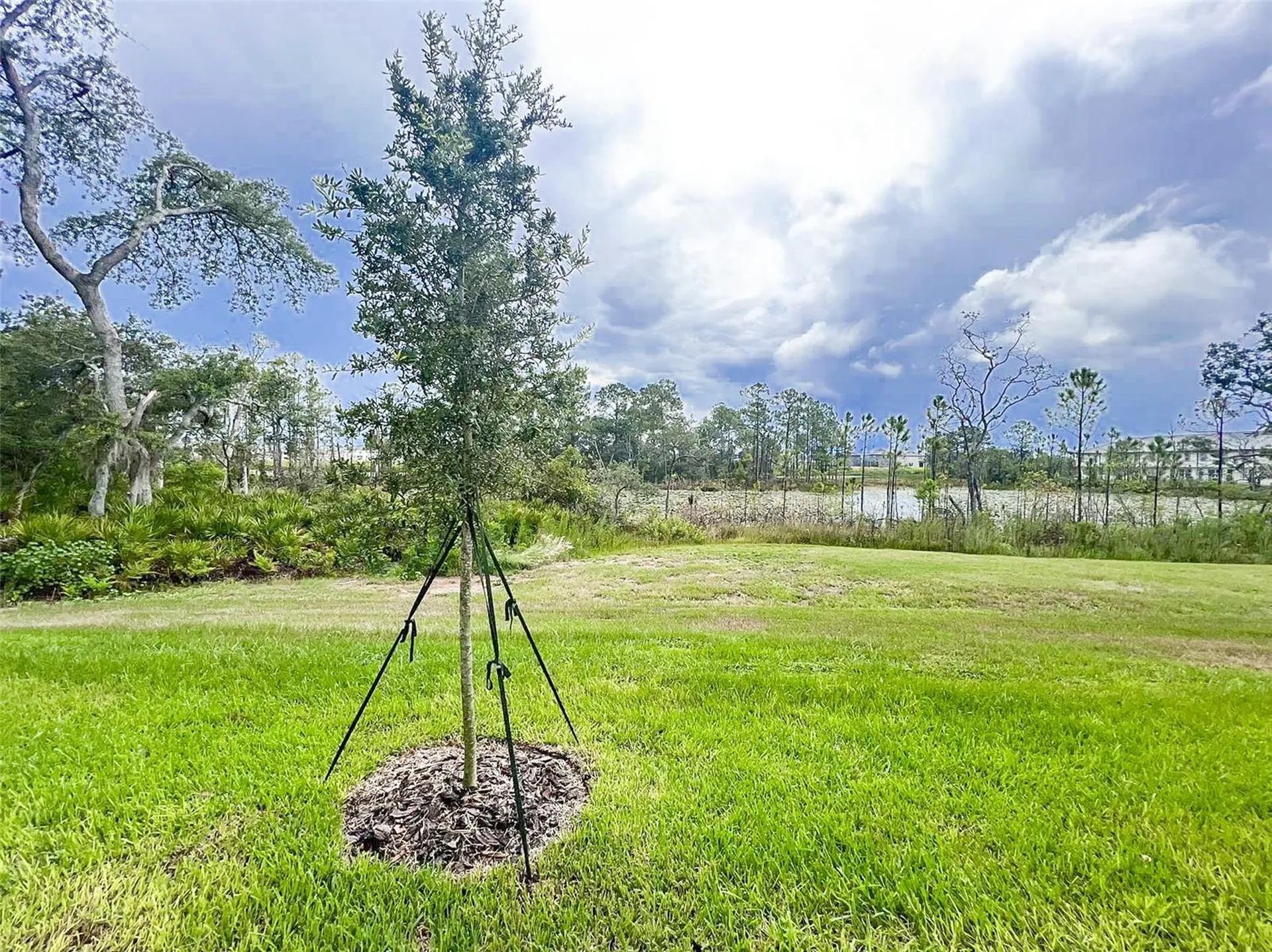 868 Longboat Drive Davenport FL 33896