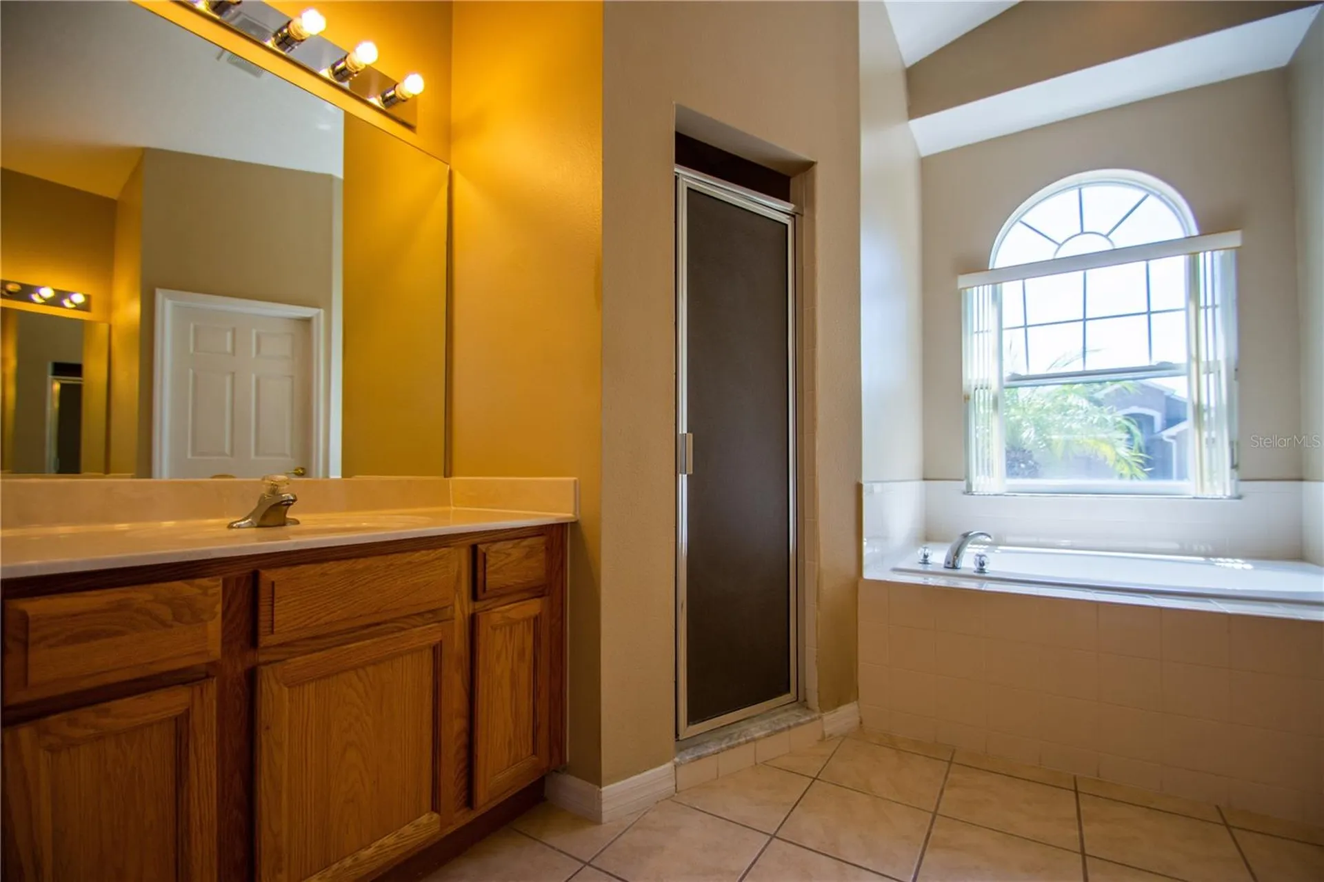 1074 Corvina Drive Davenport FL 33897
