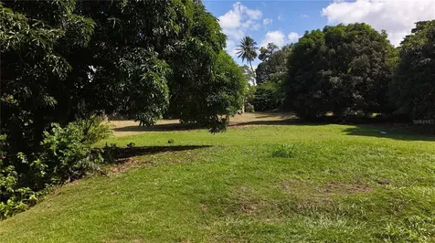 PR-876 Km 0.7 Bo Las Cuevas Trujillo Alto PR 00976