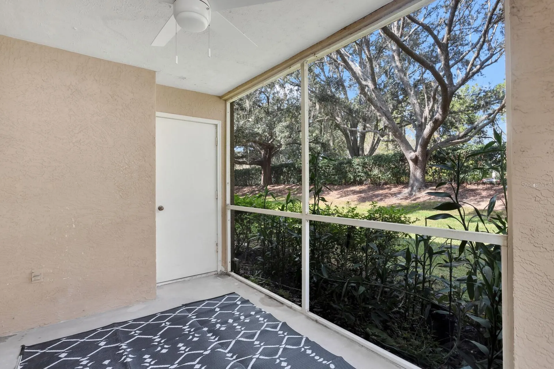 9481 Highland Oak Drive Tampa FL 33647