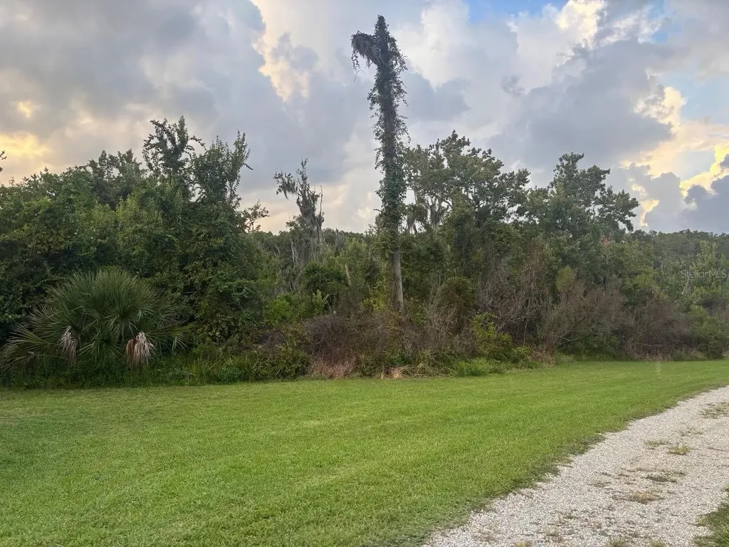 11600 Magnolia Avenue Tavares FL 32778