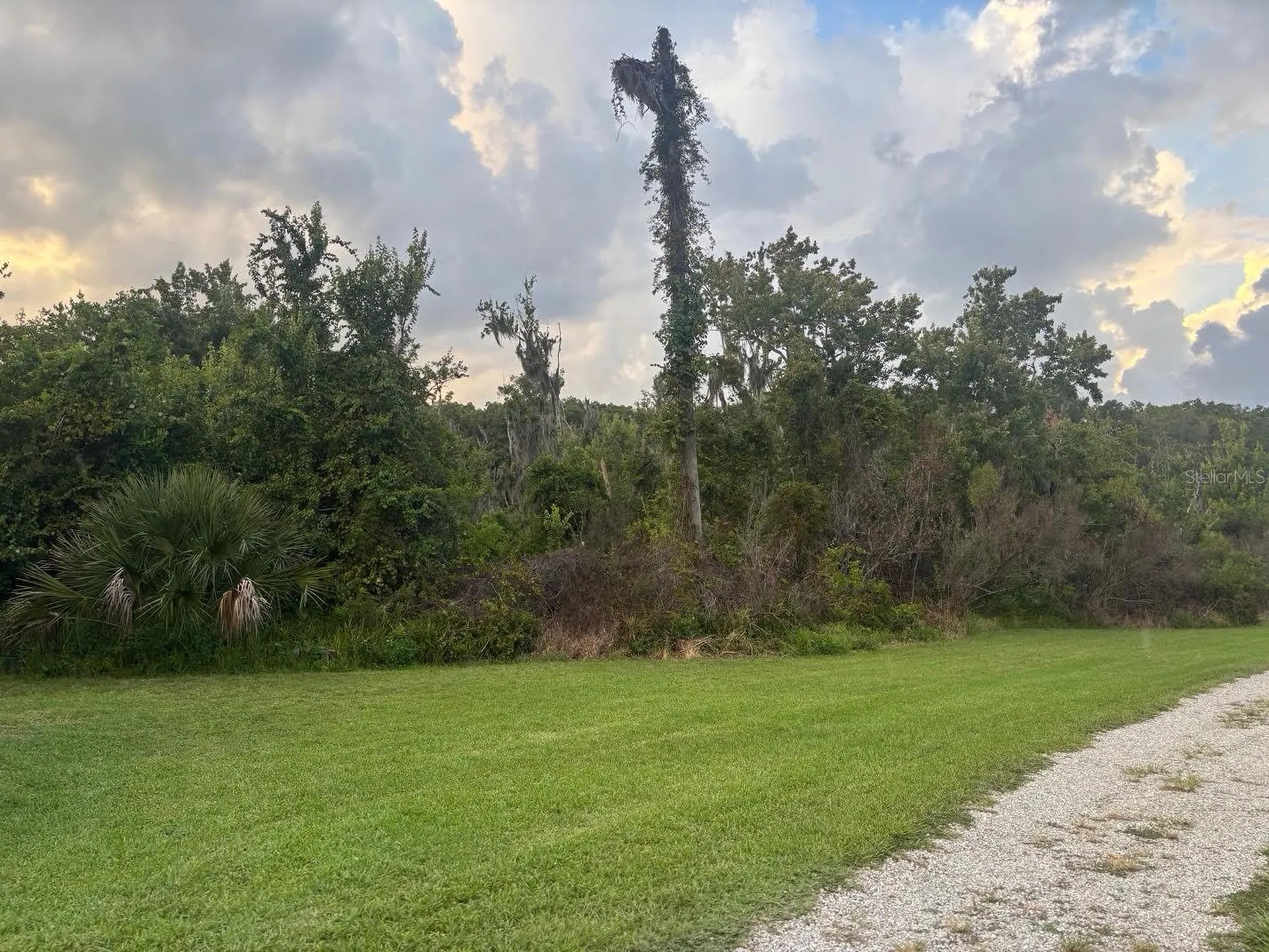 11600 Magnolia Avenue Tavares FL 32778