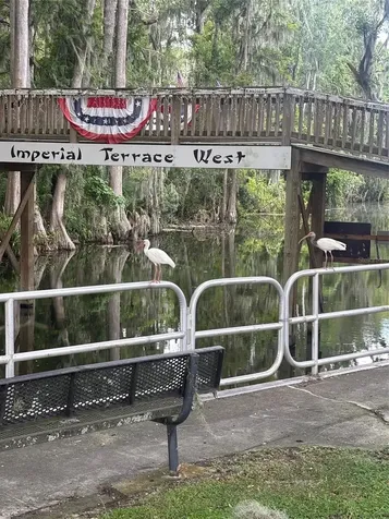11600 Magnolia Avenue Tavares FL 32778