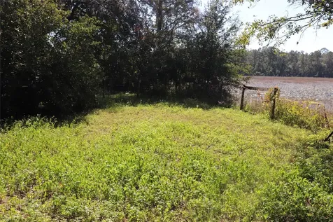 14150 NE 110th Avenue Road Fort Mc Coy FL 32134