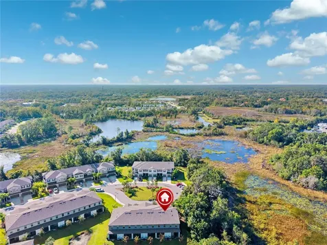 23217 Willow Glen Way Lutz FL 33549
